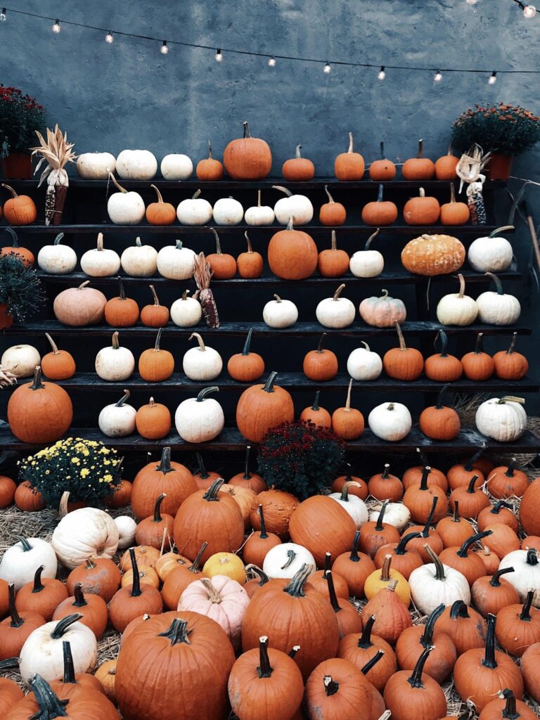 Orange and white pumpkins are on display on shelves and the ground