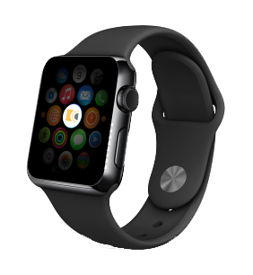 Meet the Camino Apple Watch App